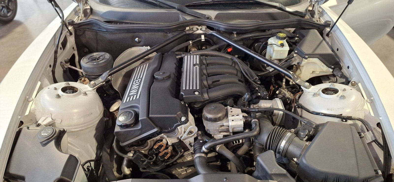 20240624_113447_resized