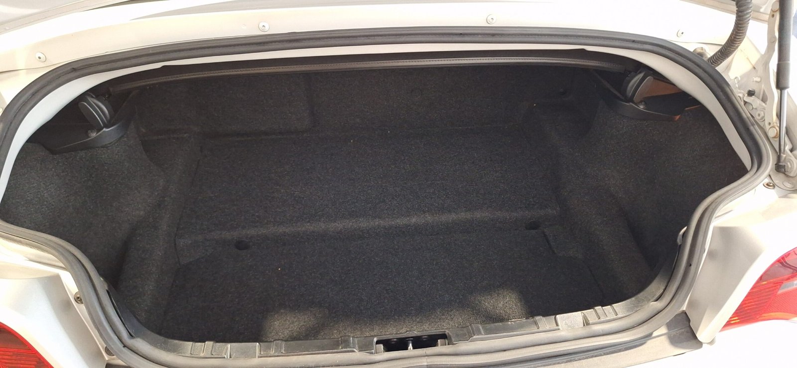 20240624_113512_resized